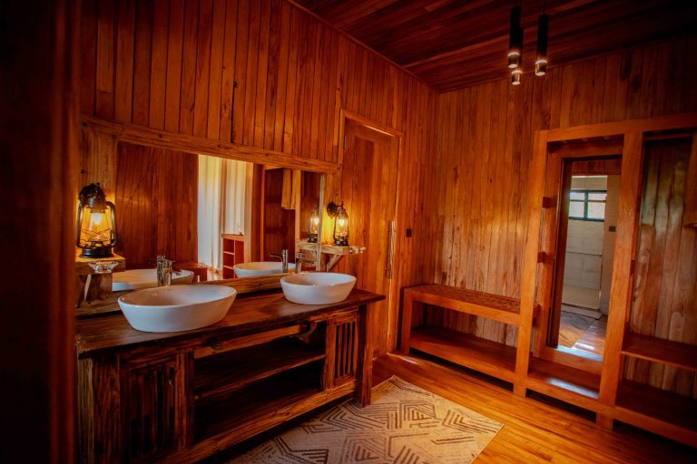 Into Wild Africa Serengeti