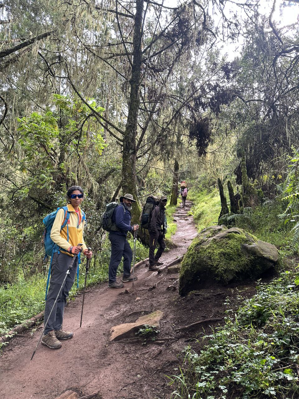 7-Day Serengeti, Kilimanjaro & Materuni Adventure