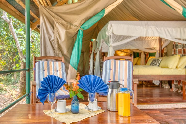 Gombe Mbali Mbali Lodge