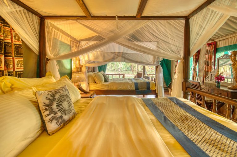 mbali Mbali Lodge Gombe