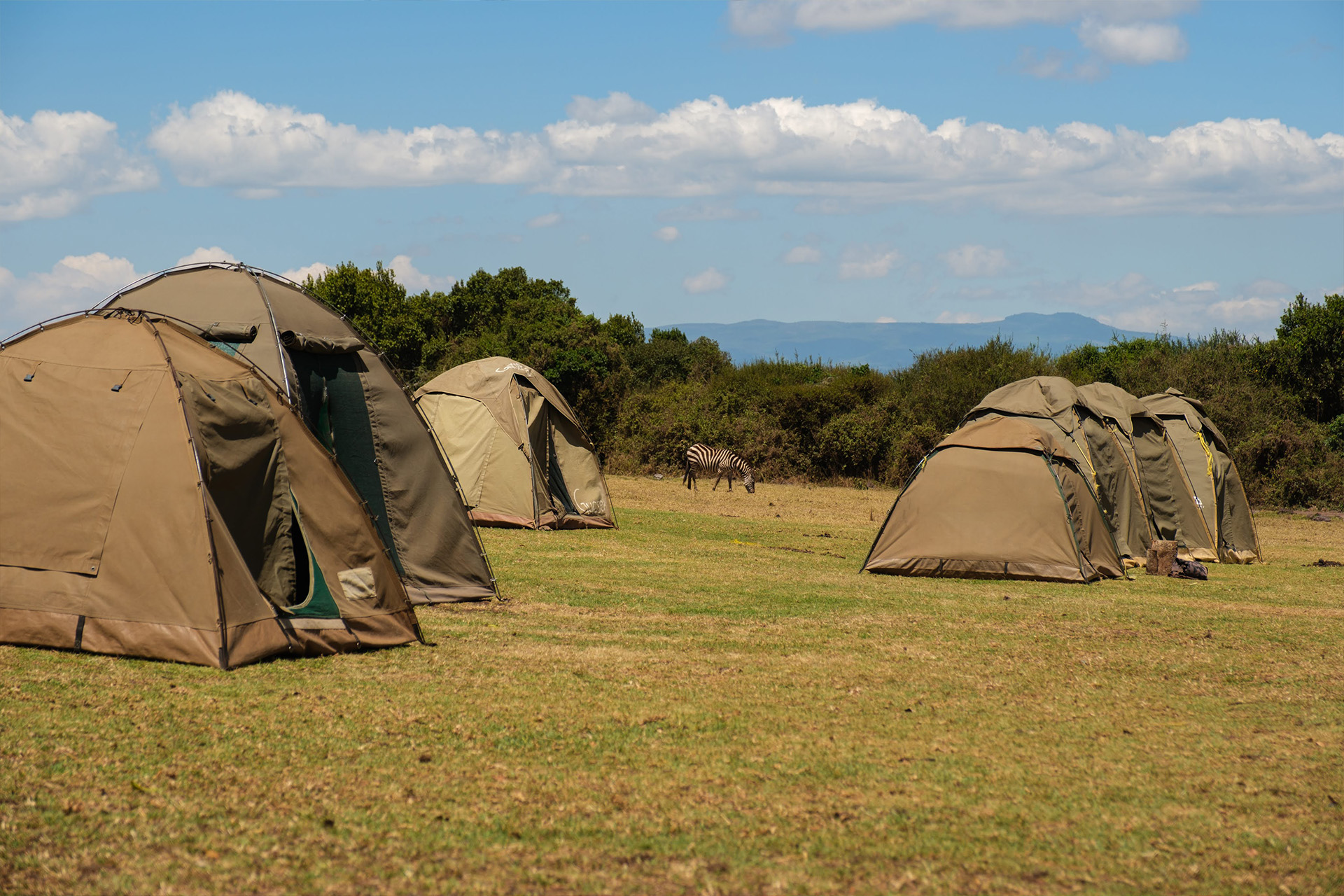 1920x1080-Simba-campsite-3