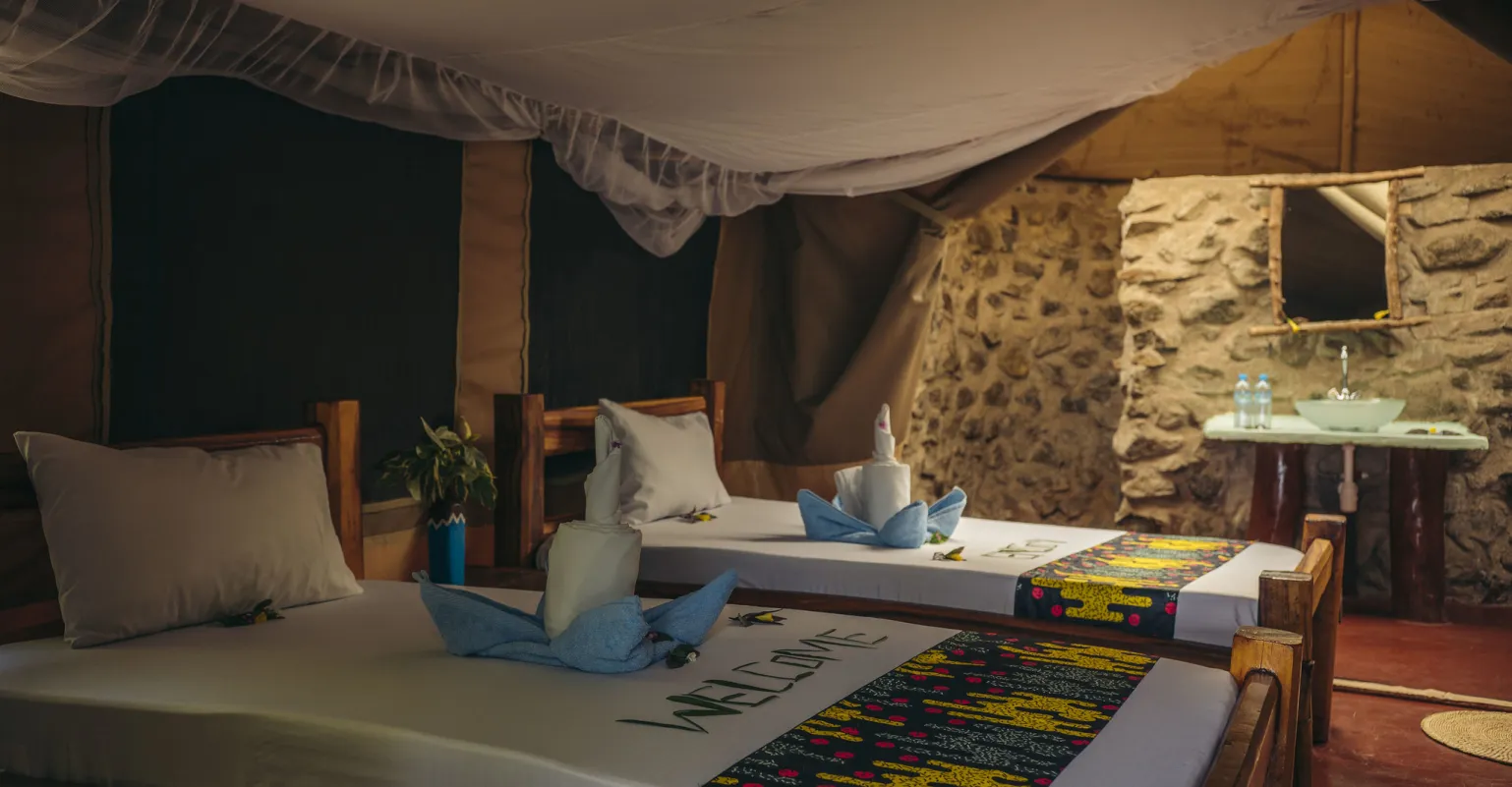 53358282047_10807f26f3_k