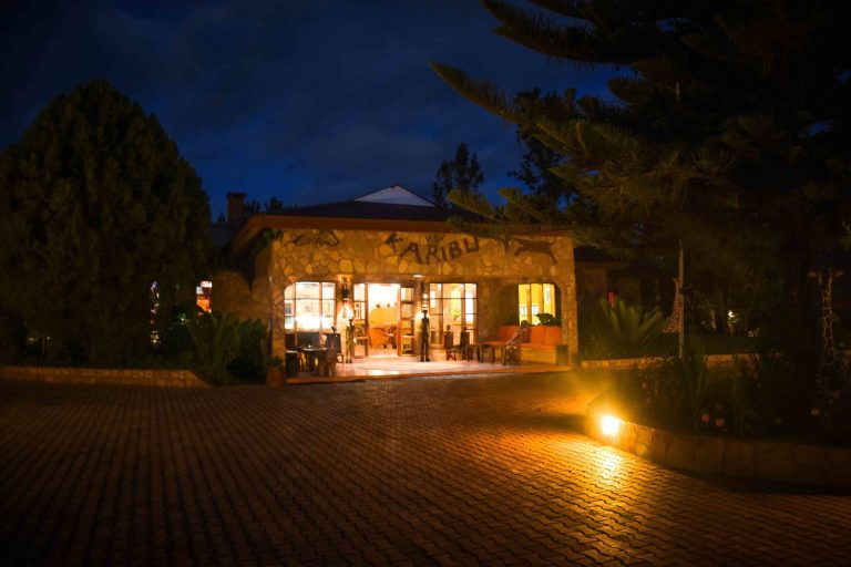 Bougaivellia2-1500x1000-1