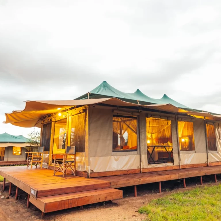 IMG_8305-scaled-r8dci79gerlsiz8rtvnjw1rqf3ka7jcuod5x5km9e8