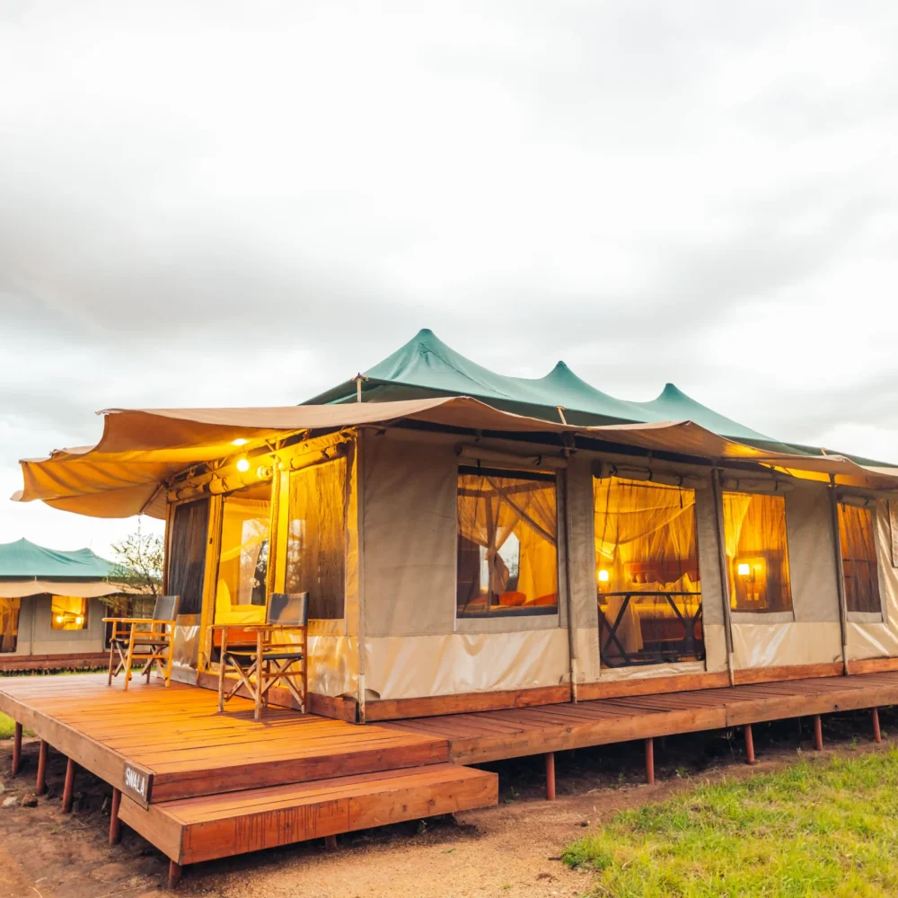 IMG_8305-scaled-r8dci79gerlsiz8rtvnjw1rqf3ka7jcuod5x5km9e8