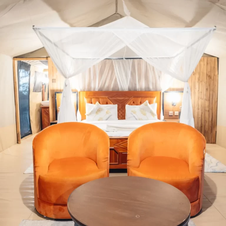 IMG_8307-scaled-r8dcidubqluss8z7rghxvi3yksnupf2z19qbiici6o