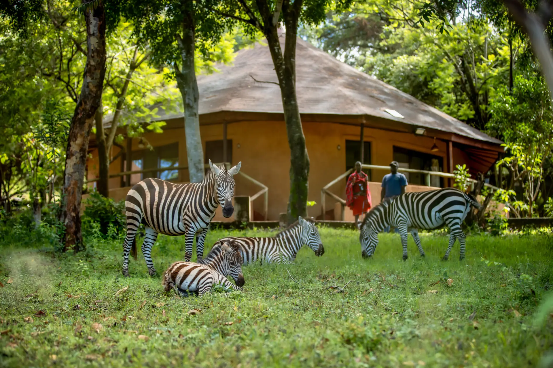 Masai-Mara-Sopa-Lodge