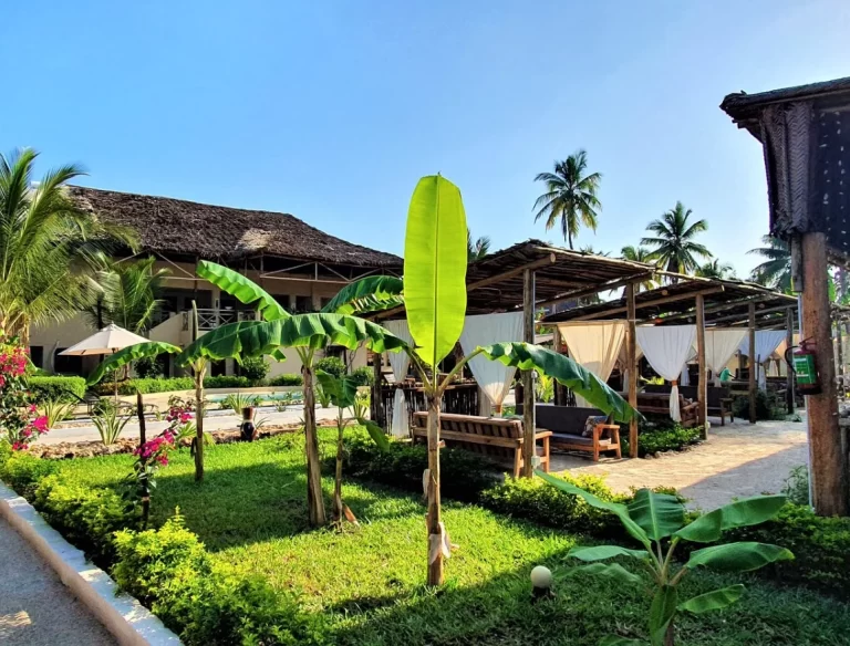 Screenshot_2020-04-07-Surroundings-Paradise-Beach-Resort