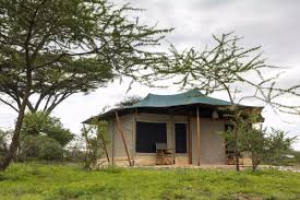 haven serengeti