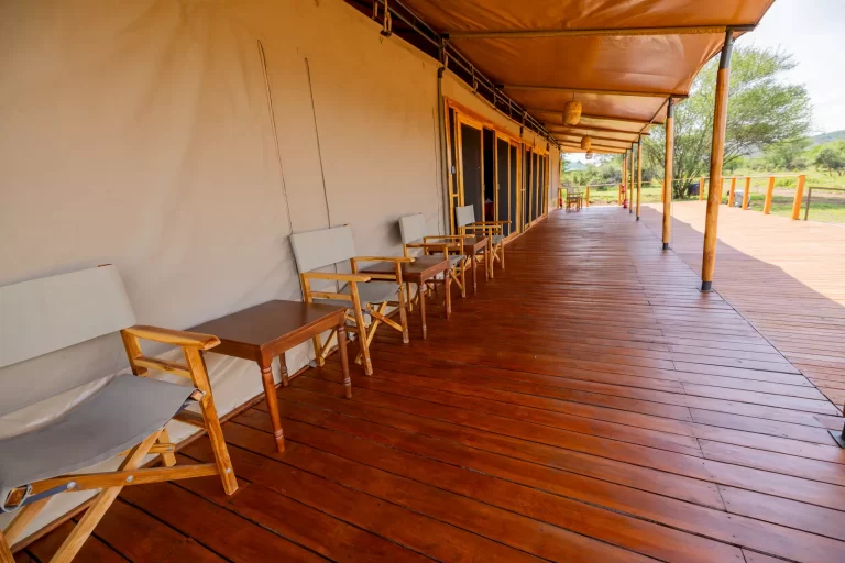 main-serengeti-safari-haven-51