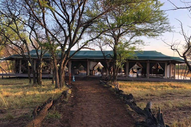 oleserai-kogatende-3-1200x800