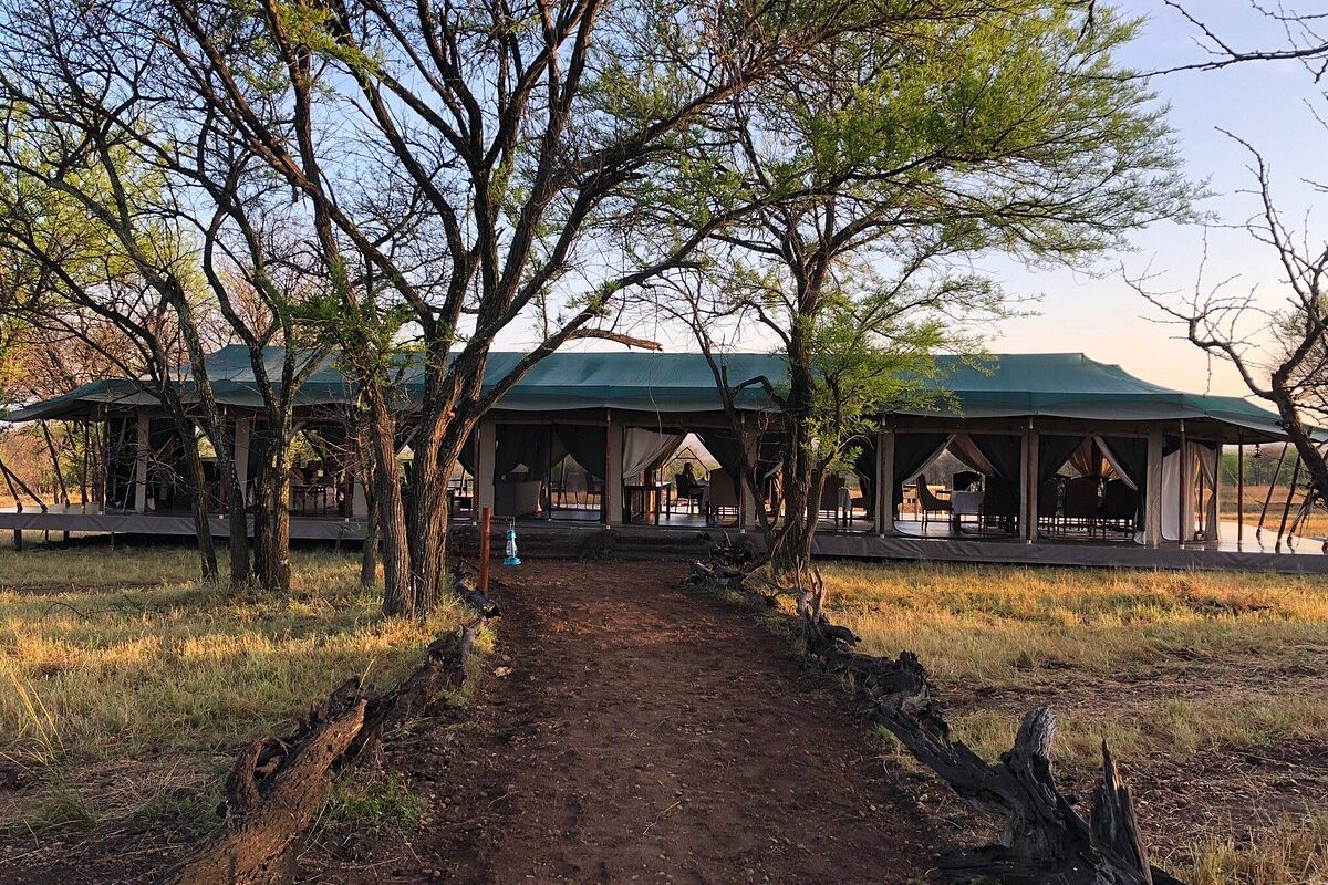 oleserai-kogatende-3-1200x800