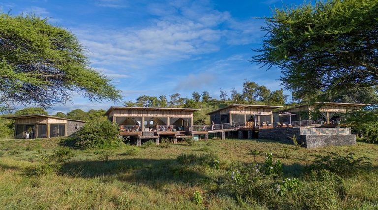 tarangire-elephant-springs