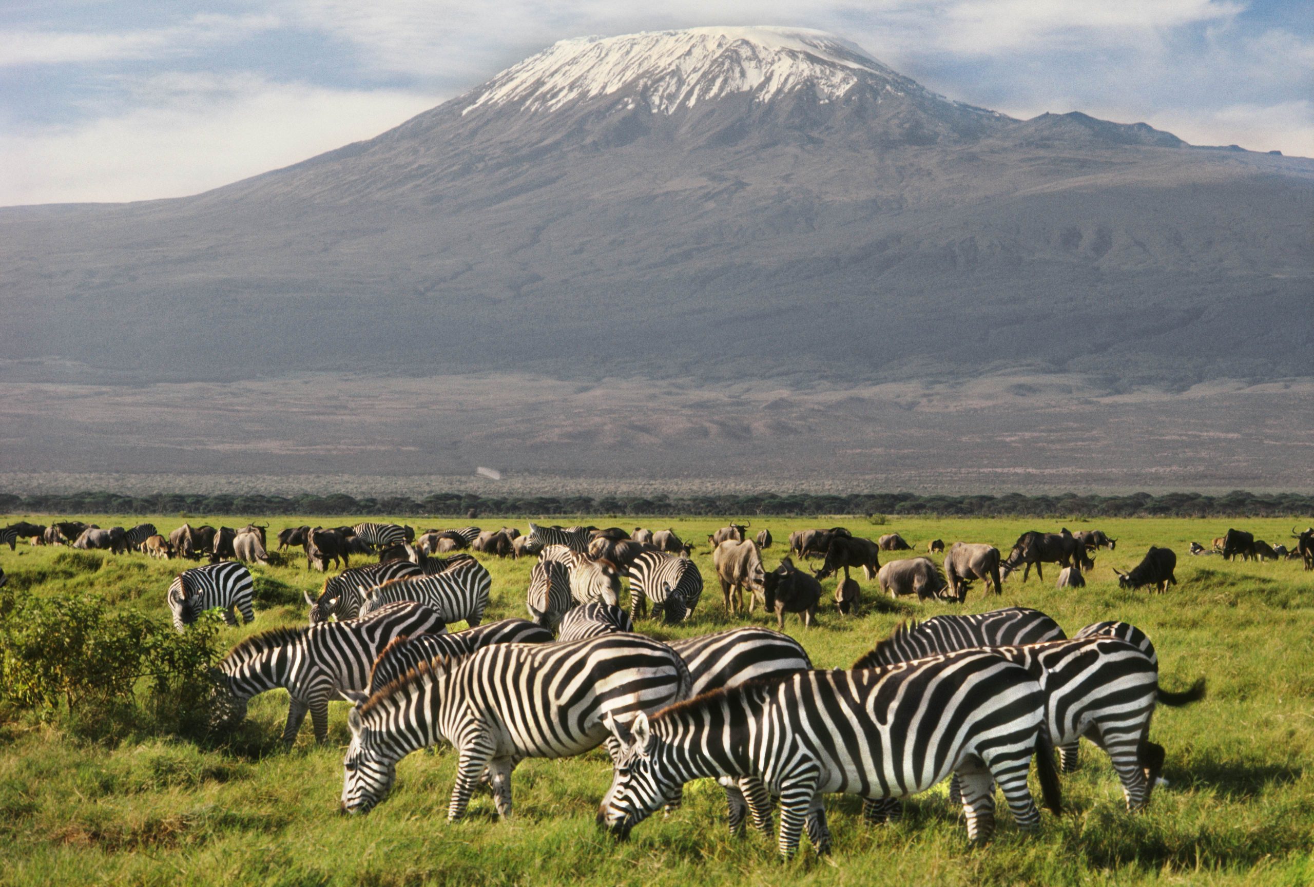 amboseli park