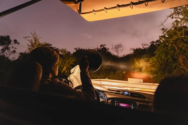 Wilderness-Magashi-Camp-Akagera-Rwanda-night-drives-as-its-in-a-concession