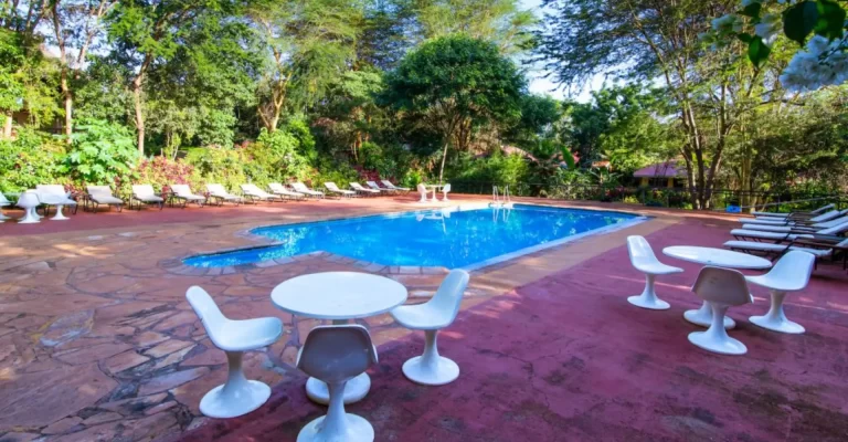 Eileen Tree Inn swimming pool