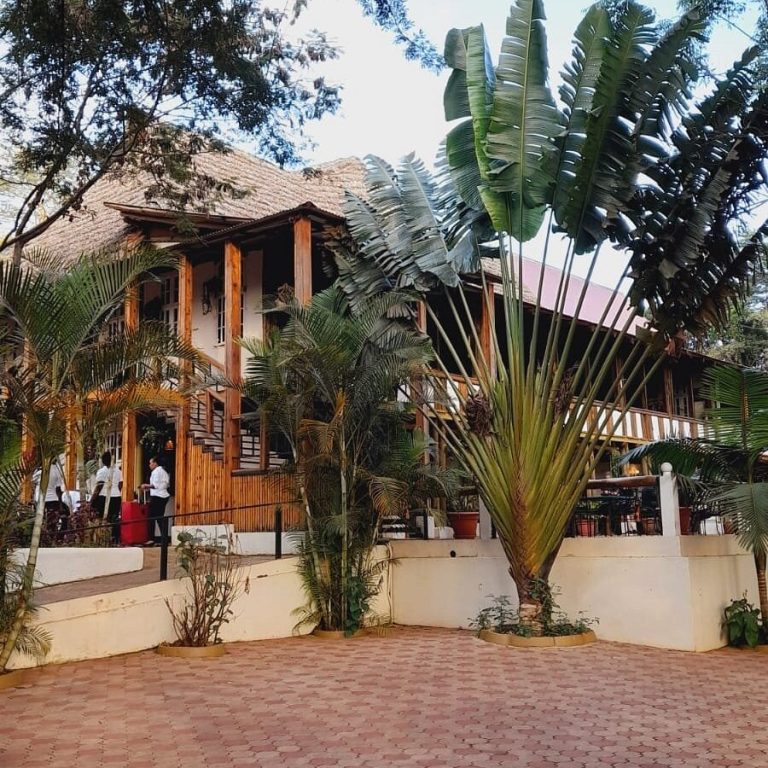 Eileen Tree Inn view