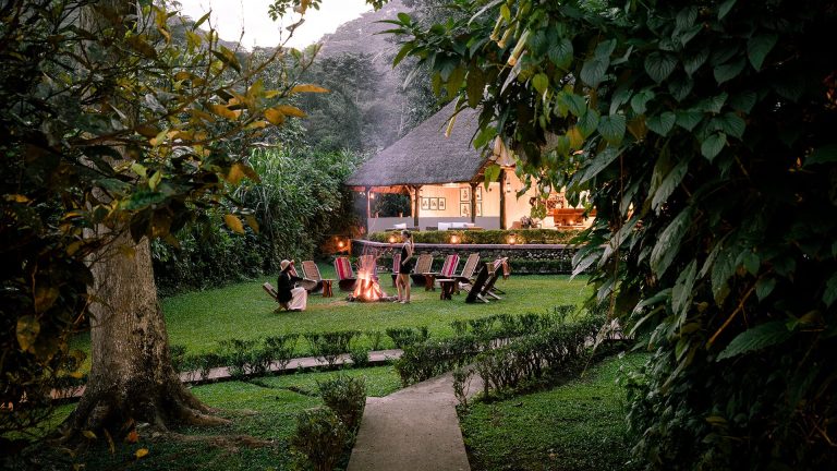 Gorilla Forest Lodge – Bwindi