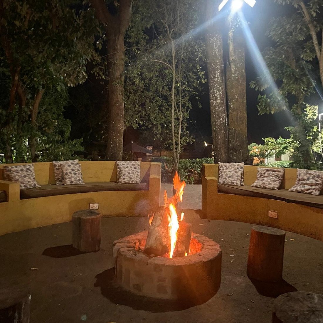 Outdoor dining elieens