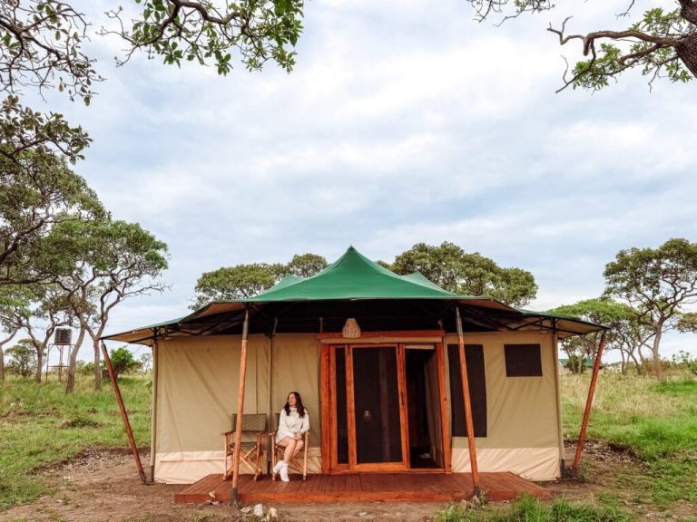 Safari nHaven Migrationj Camp