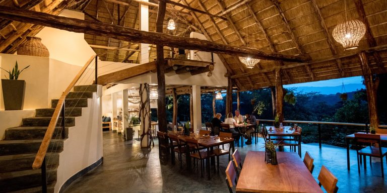 Turraco Treetop Uganda