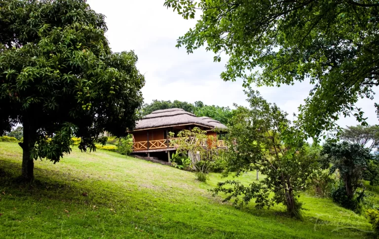 Twin Lakes Safari Lodge Queen Elizabeth