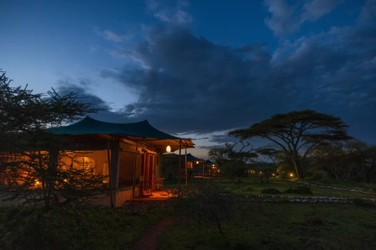safari haven