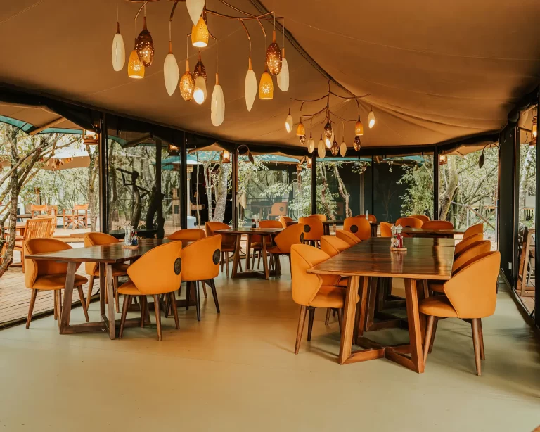 soroi Mara Luxuty Migration